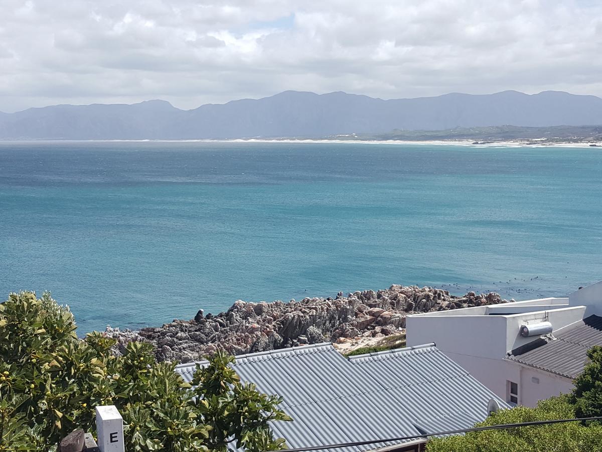 Amazing Grace B&B Gansbaai Esterno foto
