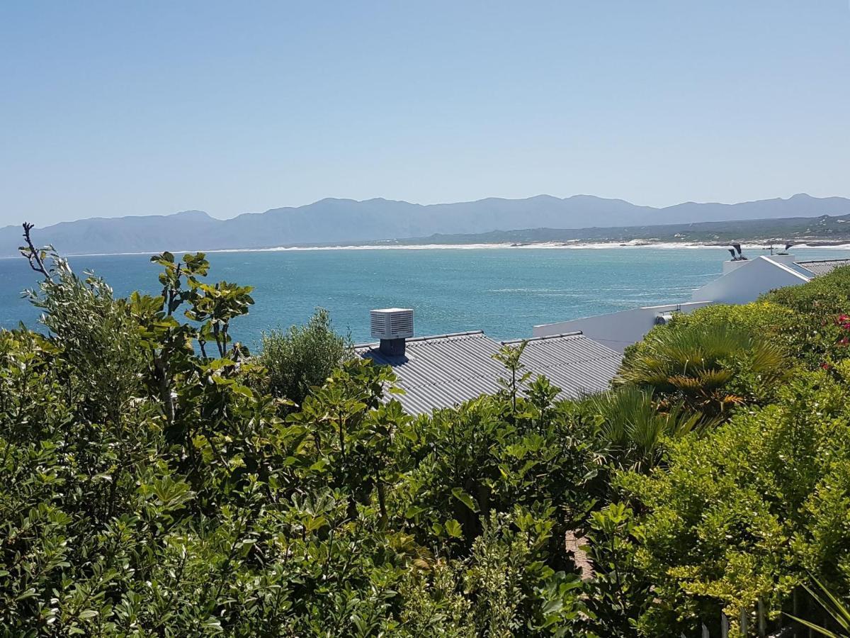 Amazing Grace B&B Gansbaai Esterno foto